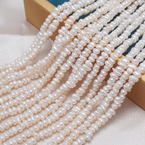 Přírodní sladkovodní perly perlí, Sladkovodní Pearl, Flat Round, DIY, bílý, 3.5-4mm, Prodáno za Cca 35-36 cm Strand