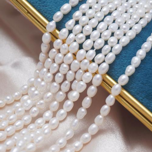 Rice Kulturan Slatkovodni Pearl perle, Riža, možete DIY, bijel, 3.5-4mm, Prodano Per Približno 35-36 cm Strand