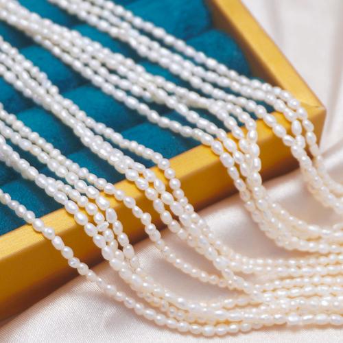 Rice Kulturan Slatkovodni Pearl perle, Riža, možete DIY, bijel, 2-2.5mm, Prodano Per Približno 37-38 cm Strand