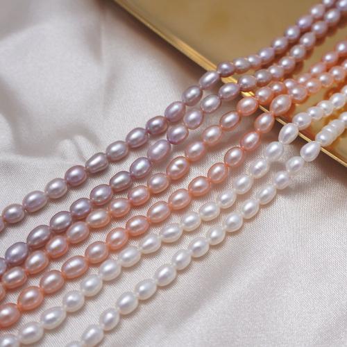 Rice Kulturan Slatkovodni Pearl perle, Riža, možete DIY, više boja za izbor, 4mm, Prodano Per Približno 35 cm Strand