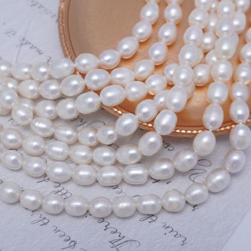 Rice Kulturan Slatkovodni Pearl perle, Riža, možete DIY & različite veličine za izbor, bijel, Prodano Per Približno 37 cm Strand