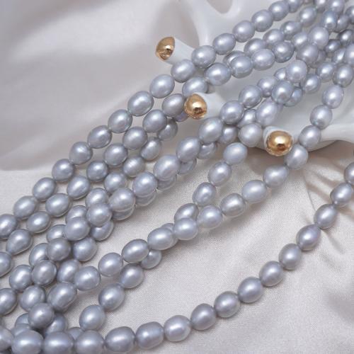 Rýže kultivované sladkovodní perle, Sladkovodní Pearl, DIY, šedá, 8-9mm, Prodáno za Cca 37-38 cm Strand