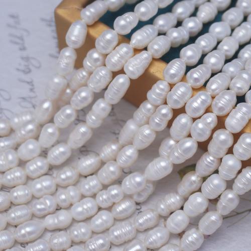 Rice Kulturan Slatkovodni Pearl perle, Riža, možete DIY & različite veličine za izbor, bijel, Prodano Per Približno 37 cm Strand