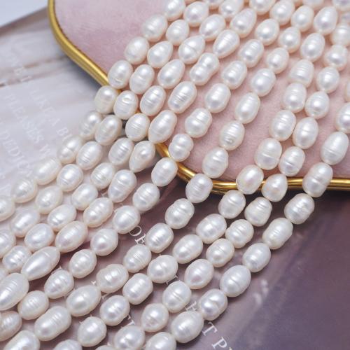 Cultured Rice Freshwater Pearl Beads DIY white 8-9mm Sold Per Approx 36 cm Strand