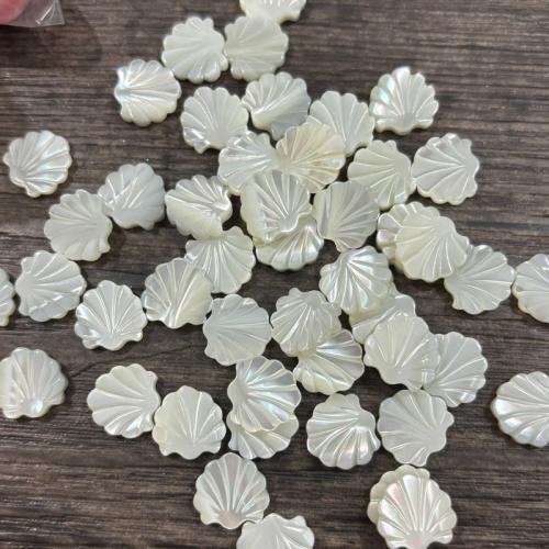 Natural Freshwater Shell Beads DIY white 12mm Sold By PC