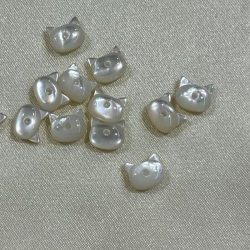 Natural Freshwater Shell Beads Cat DIY Sold By PC