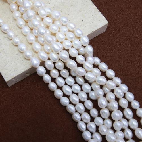 Cultured Potato Freshwater Pearl Beads DIY white mm Sold Per Approx 38 cm Strand