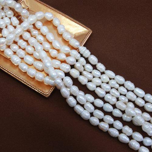 Cultured Rice Freshwater Pearl Beads DIY white mm Sold Per Approx 38 cm Strand