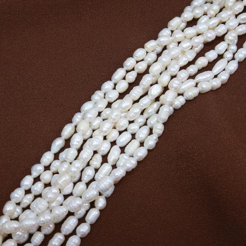 Rice ferskvandskulturperle Beads, Ferskvandsperle, Ris, du kan DIY, hvid, about:5-6mm, Solgt Per Ca. 38 cm Strand