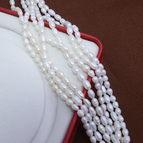 Cultured Rice Freshwater Pearl Beads DIY white .5mm Sold Per Approx 38 cm Strand