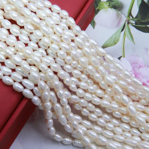 Rice ferskvandskulturperle Beads, Ferskvandsperle, Ris, du kan DIY, hvid, about:5-5.5mm, Solgt Per Ca. 38 cm Strand