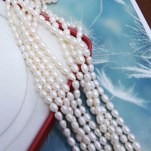 Cultured Rice Freshwater Pearl Beads DIY white 5-5.5mm Sold Per Approx 38 cm Strand