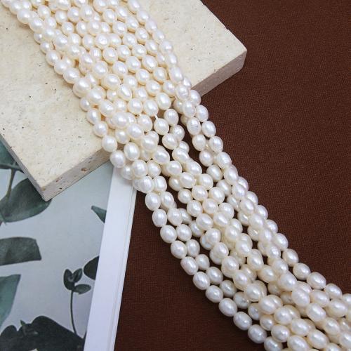 Krumpir Kulturan Slatkovodni Pearl perle, možete DIY, bijel, about:  5-5.5mm, Prodano Per Približno 38 cm Strand