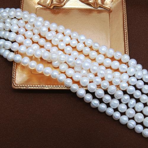 Přírodní sladkovodní perly perlí, Sladkovodní Pearl, Mírně kulaté, DIY, bílý, about:7-8mm, Prodáno za Cca 38 cm Strand