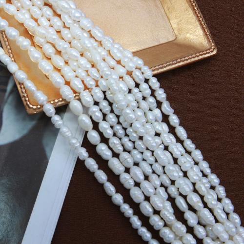 Cultured Rice Freshwater Pearl Beads DIY white mm Sold Per Approx 38 cm Strand