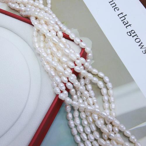 Rice ferskvandskulturperle Beads, Ferskvandsperle, Ris, du kan DIY, hvid, about:5-5.5mm, Solgt Per Ca. 38 cm Strand