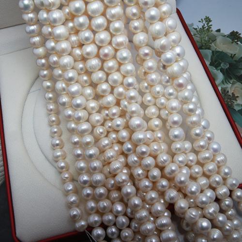 Brambor pěstované sladkovodní perle, Sladkovodní Pearl, DIY, bílý, about:10-11mm, Prodáno za Cca 38 cm Strand