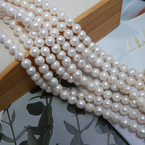 Natural Freshwater Pearl Loose Beads Slightly Round DIY white mm Sold Per Approx 38 cm Strand