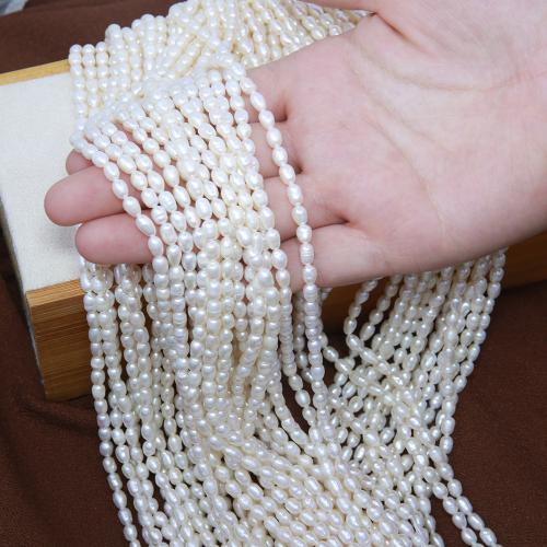 Rice ferskvandskulturperle Beads, Ferskvandsperle, Ris, du kan DIY, flere farver til valg, about: 3.5-4mm, Solgt Per Ca. 38 cm Strand