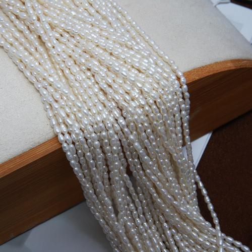 Rice Kulturan Slatkovodni Pearl perle, Riža, možete DIY, bijel, about:2-2.5mm, Prodano Per Približno 38 cm Strand