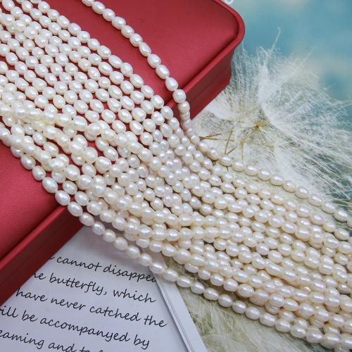 Rýže kultivované sladkovodní perle, Sladkovodní Pearl, DIY, bílý, about: 5-5.5mm, Prodáno za Cca 38 cm Strand