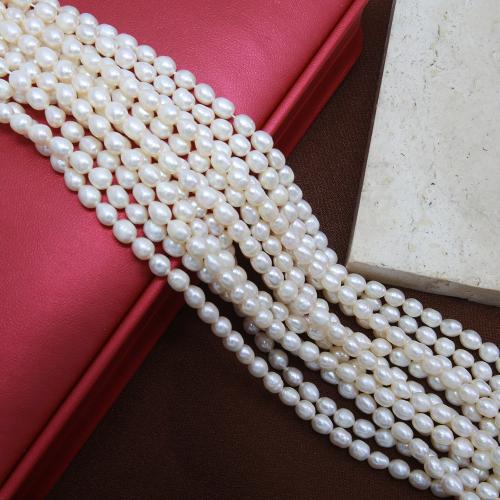 Krumpir Kulturan Slatkovodni Pearl perle, možete DIY, bijel, about: 5-5.5mm, Prodano Per Približno 38 cm Strand