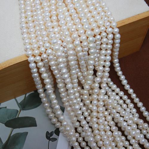 Přírodní sladkovodní perly perlí, Sladkovodní Pearl, Mírně kulaté, DIY, bílý, about:5-6mm, Prodáno za Cca 38 cm Strand