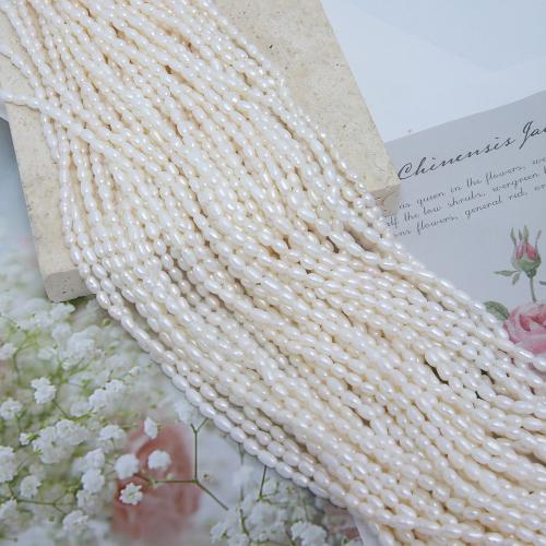 Rice Kulturan Slatkovodni Pearl perle, Riža, možete DIY, više boja za izbor, about:2.8-3.2mm, Prodano Per Približno 38 cm Strand