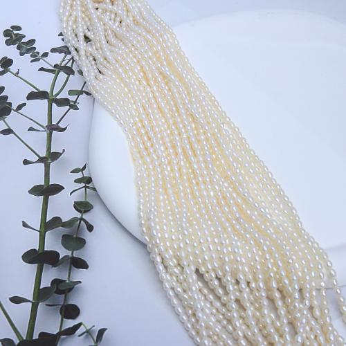 Rice Kulturan Slatkovodni Pearl perle, Riža, možete DIY, bijel, about:2.8-3.2mm, Prodano Per Približno 38 cm Strand