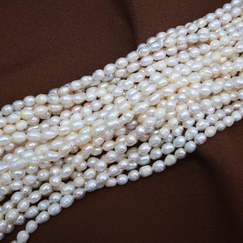 Rice Kulturan Slatkovodni Pearl perle, Riža, možete DIY, bijel, about: 5-6mm, Prodano Per Približno 38 cm Strand