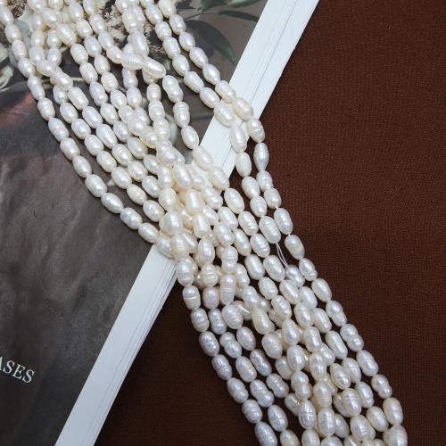 Cultured Rice Freshwater Pearl Beads DIY white 5-6mm Sold Per Approx 38 cm Strand