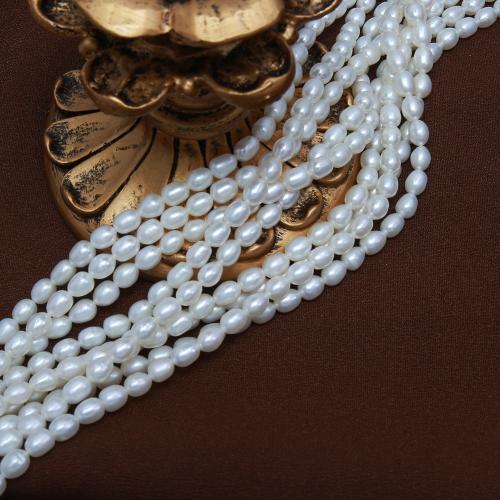 Rice Kulturan Slatkovodni Pearl perle, Riža, možete DIY, bijel, about:  5-5.5mm, Prodano Per Približno 38 cm Strand