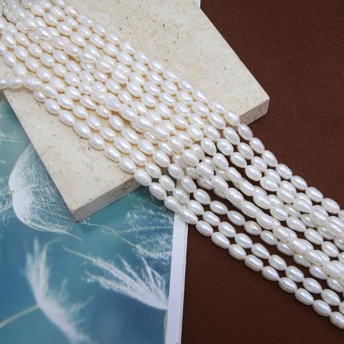 Rice Kulturan Slatkovodni Pearl perle, Riža, možete DIY, bijel, about:5-5.5mm, Prodano Per Približno 38 cm Strand