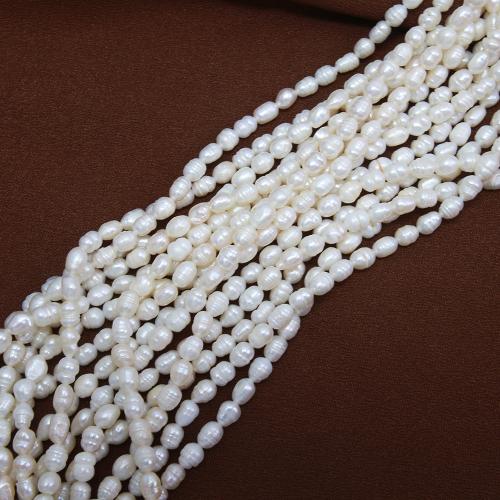 Rice Kulturan Slatkovodni Pearl perle, Riža, možete DIY, bijel, about:4.8-5.2mm, Prodano Per Približno 38 cm Strand