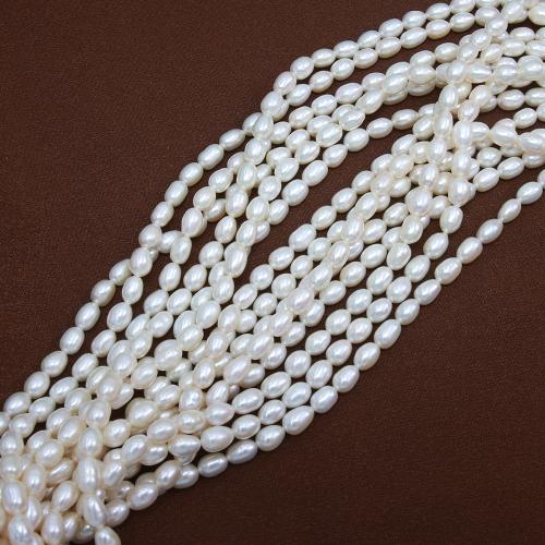 Rice ferskvandskulturperle Beads, Ferskvandsperle, Ris, du kan DIY, hvid, about: 5-6mm, Solgt Per Ca. 38 cm Strand