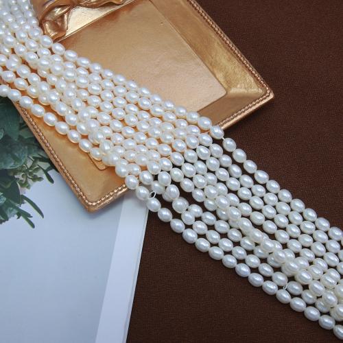 Cultured Rice Freshwater Pearl Beads DIY white mm Sold Per Approx 38 cm Strand