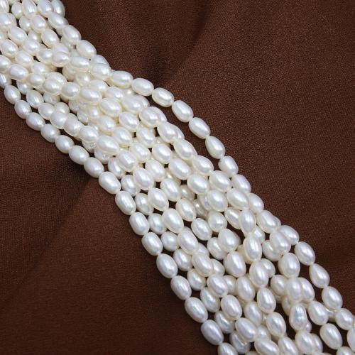 Rice ferskvandskulturperle Beads, Ferskvandsperle, Ris, du kan DIY, hvid, about:5-5.5mm, Solgt Per Ca. 38 cm Strand