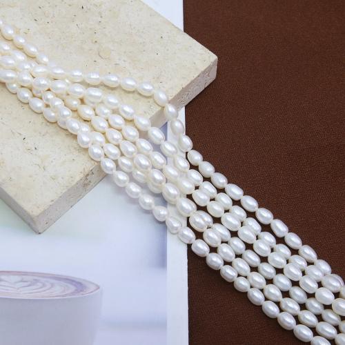 Rice ferskvandskulturperle Beads, Ferskvandsperle, Ris, du kan DIY, hvid, about:5-5.5mm, Solgt Per Ca. 38 cm Strand