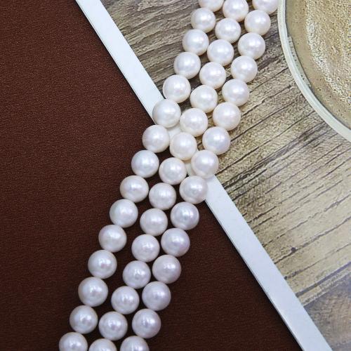 Prirodni slatkovodni biser labav nakit, Slatkovodni Pearl, Lagano okruglo, možete DIY, bijel, about:8-9mm, Prodano Per Približno 38 cm Strand