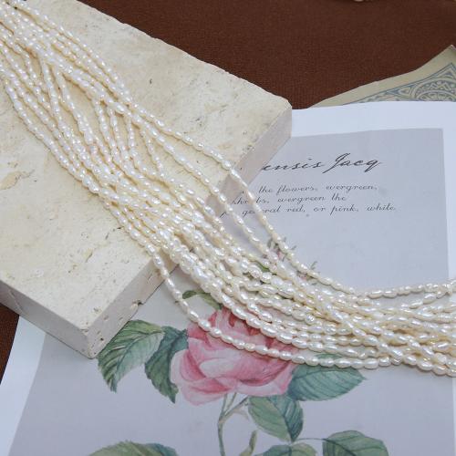 Cultured Rice Freshwater Pearl Beads DIY white mm Sold Per Approx 38 cm Strand