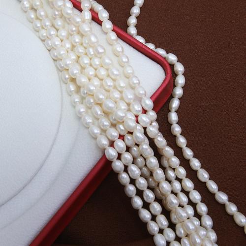 Cultured Rice Freshwater Pearl Beads DIY white 5-6mm Sold Per Approx 38 cm Strand