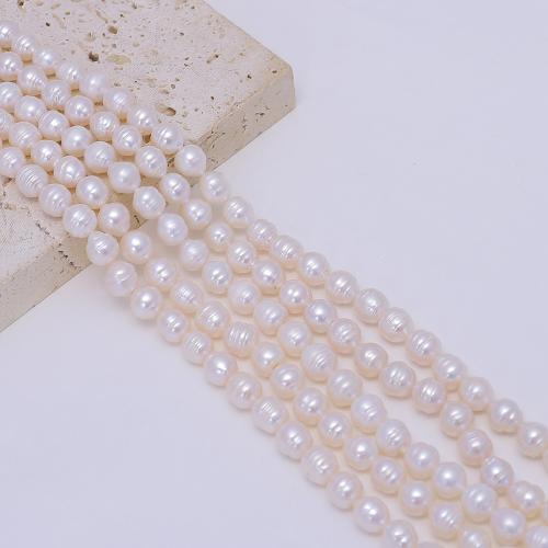 Ris odlad sötvattenspärla pärlor, Freshwater Pearl, DIY, vit, 2mm, Såld Per Ca 38 cm Strand