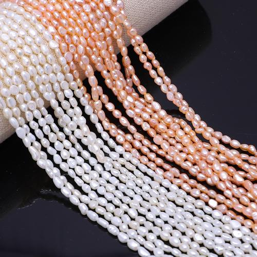 Rice ferskvandskulturperle Beads, Ferskvandsperle, Ris, du kan DIY, flere farver til valg, about:3-4mm, Solgt Per Ca. 35 cm Strand