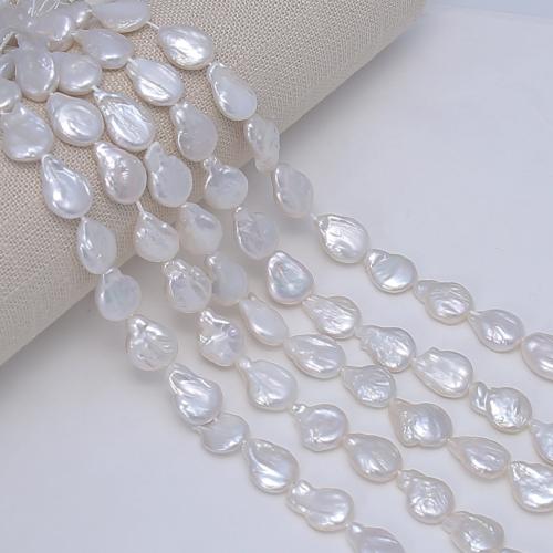 Coin Kulturan Slatkovodni Pearl perle, Novčić, možete DIY, bijel, 12mm, Prodano Per Približno 38 cm Strand