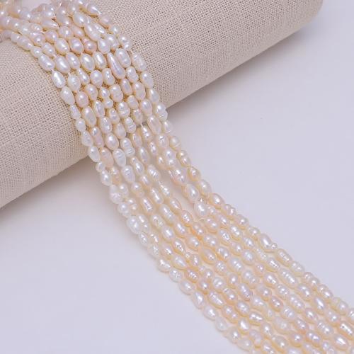 Rice Kulturan Slatkovodni Pearl perle, Riža, možete DIY, bijel, about:7-8mm, Prodano Per Približno 38 cm Strand