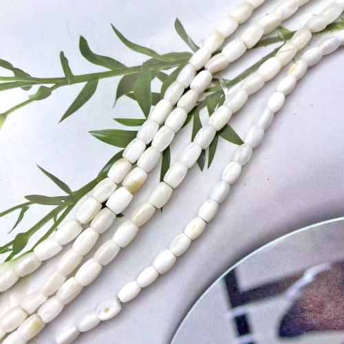 Natural Freshwater Shell Beads DIY Sold By Strand