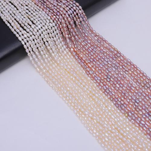 Rice ferskvandskulturperle Beads, Ferskvandsperle, Ris, du kan DIY, flere farver til valg, about:2-3mm, Solgt Per Ca. 38 cm Strand