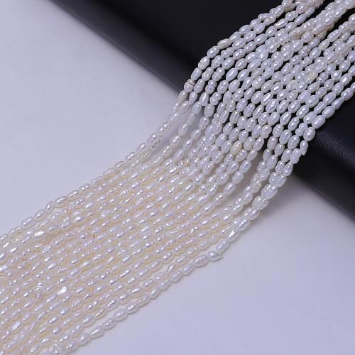 Rice Kulturan Slatkovodni Pearl perle, Riža, možete DIY, bijel, about:5-6mm, Prodano Per 35 cm Strand