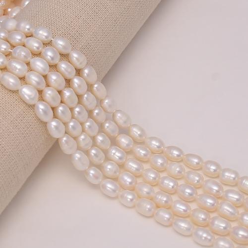 Rice Kulturan Slatkovodni Pearl perle, Riža, možete DIY, bijel, about:7-8mm, Prodano Per Približno 38 cm Strand