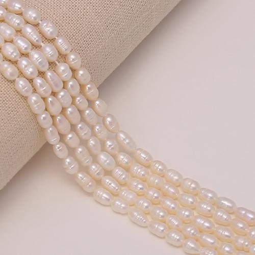 Rice Kulturan Slatkovodni Pearl perle, Riža, možete DIY, bijel, about:4-5mm, Prodano Per 38 cm Strand